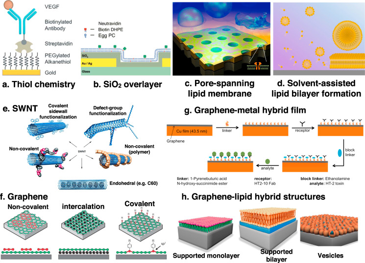 Box 5. Surface functionalization strategies for metals and vdW materials