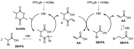 Scheme 3