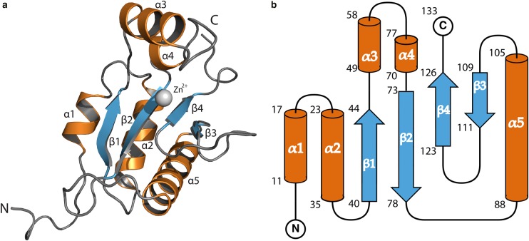 Figure 1.