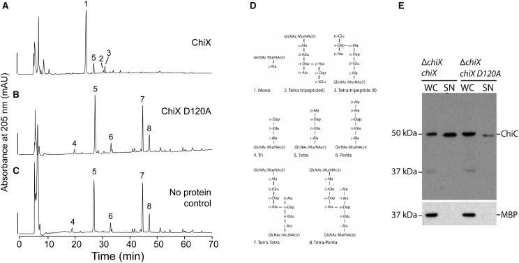 Figure 4.