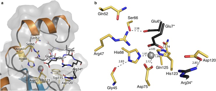 Figure 2.