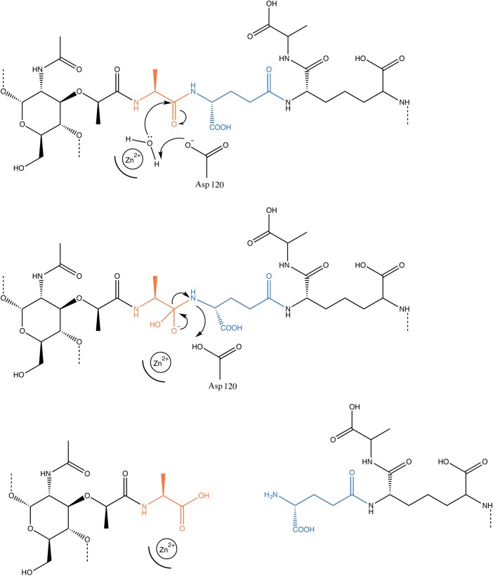 Figure 5.