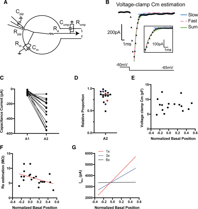 Figure 4—figure supplement 1.