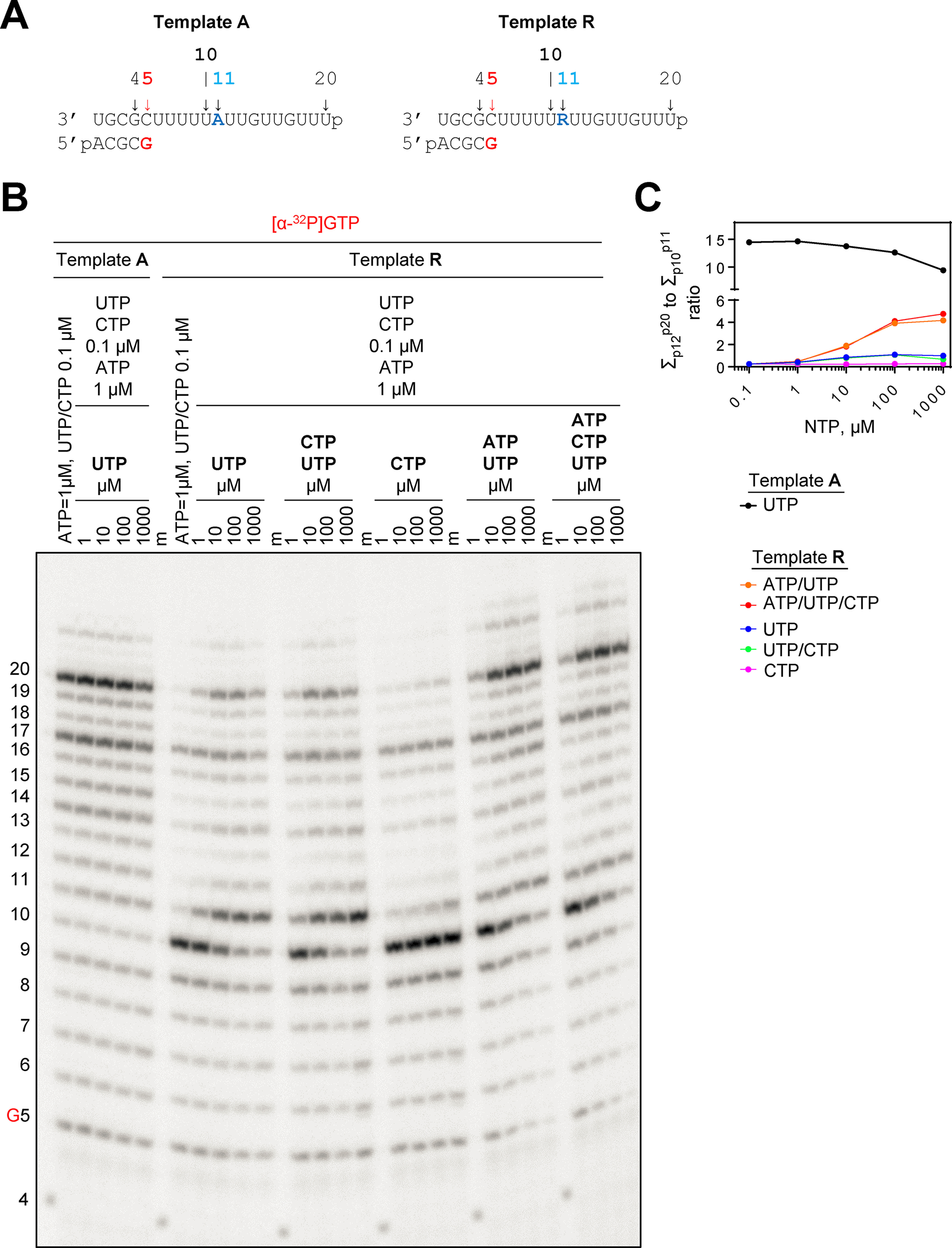 Figure 2.