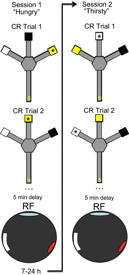 Fig. 1.