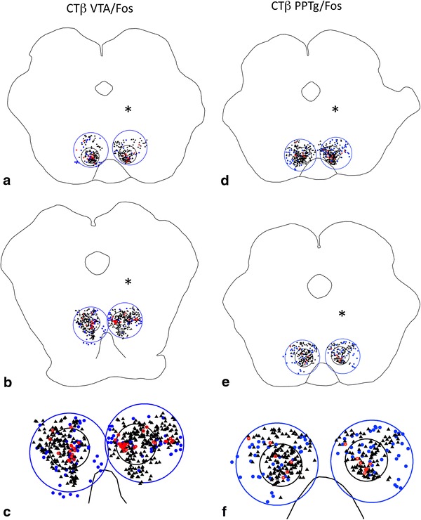 Fig. 3