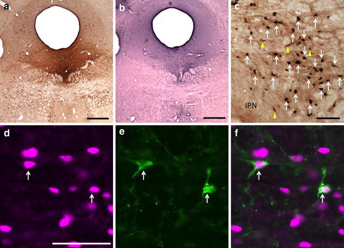 Fig. 4