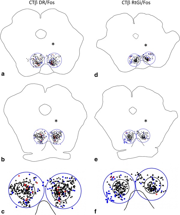 Fig. 6