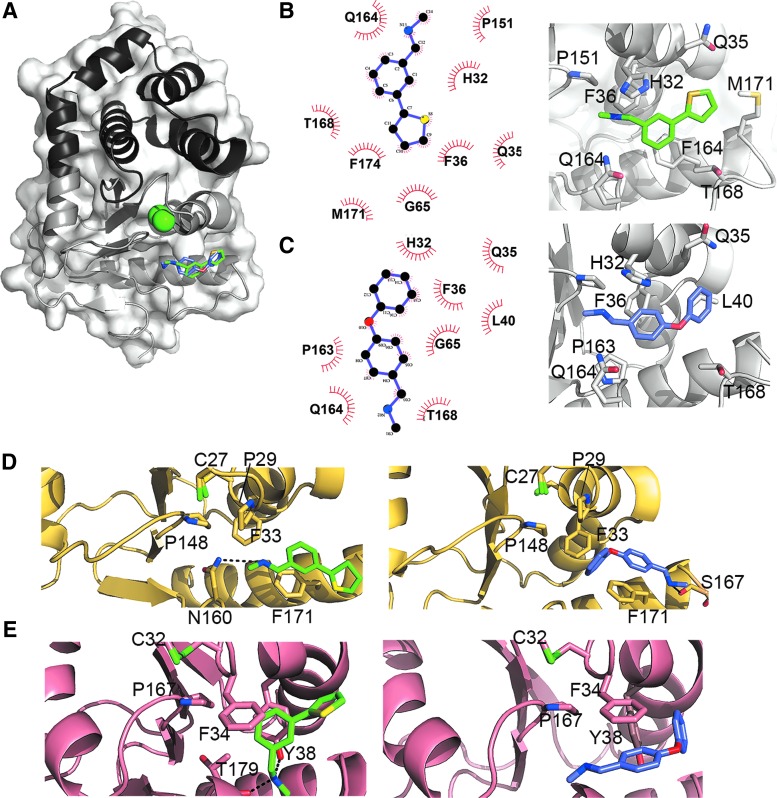 FIG. 7.