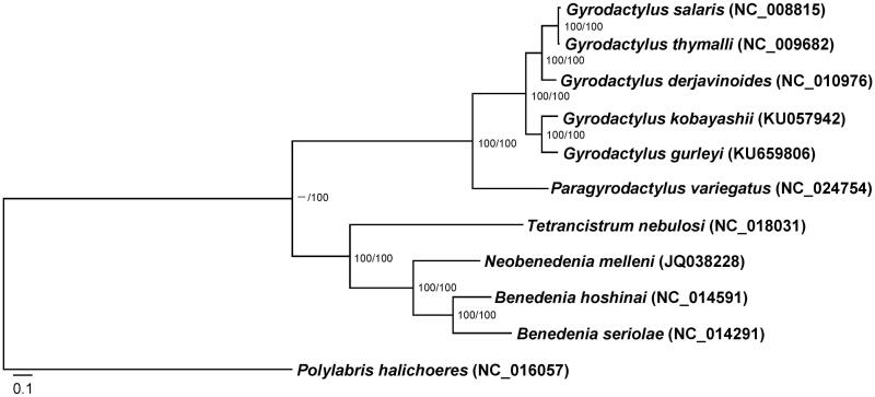 Figure 1.