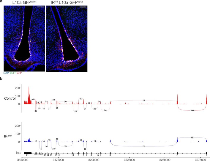 Extended Data Fig. 10