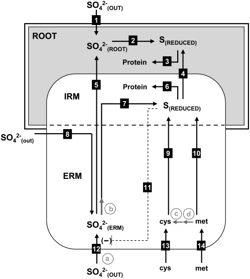 Figure 7.