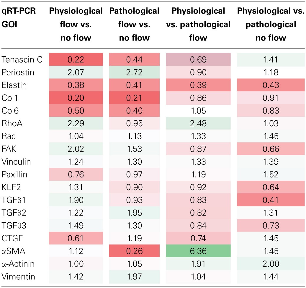 graphic file with name fphys-05-00225-i0001.jpg