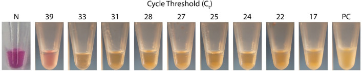 Figure 9