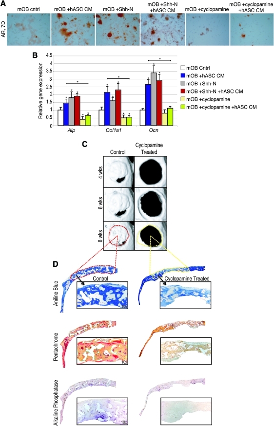 FIG. 7.