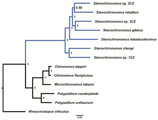 Figure 5