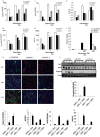 FIG 6