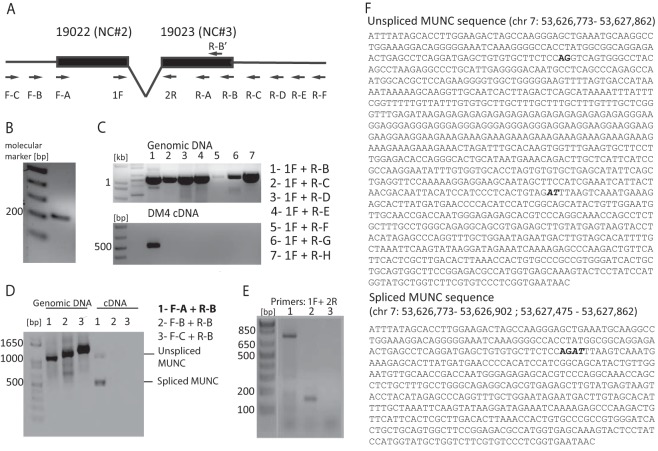 FIG 3