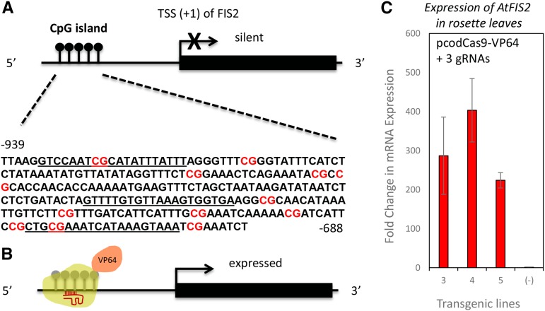 Figure 5.