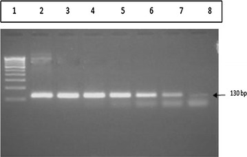 Fig. 6