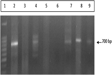 Fig. 9
