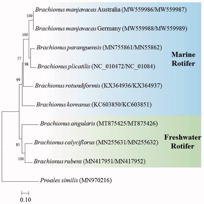 Figure 1.