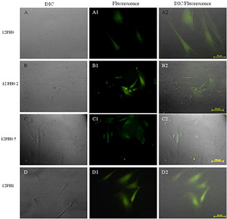 Fig. 14