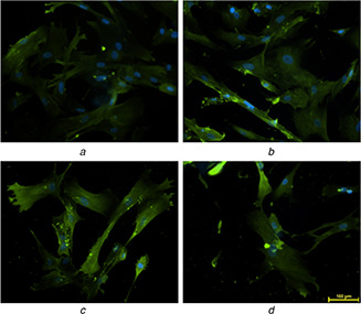 Fig. 12