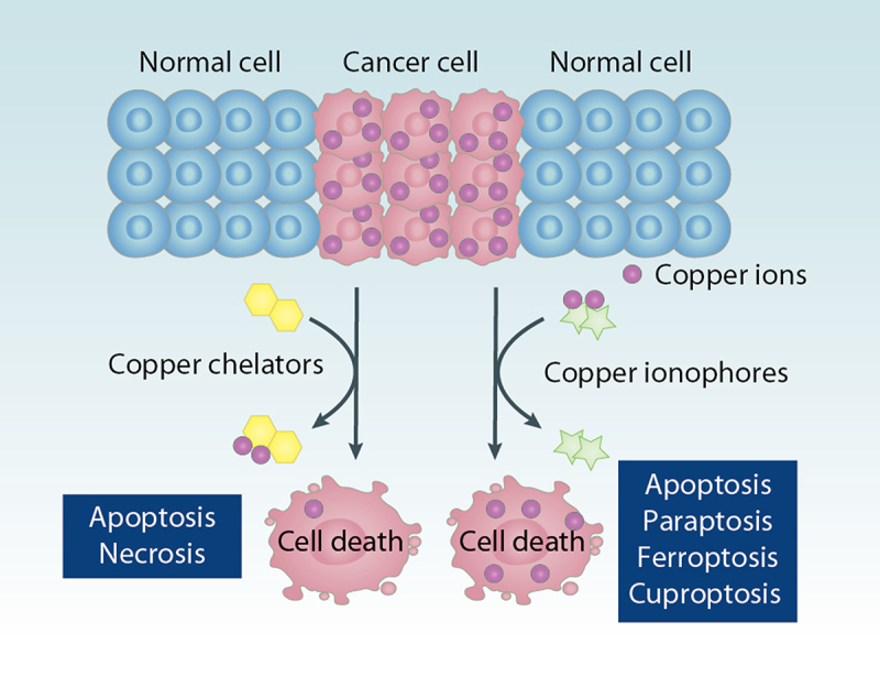 Figure 10.