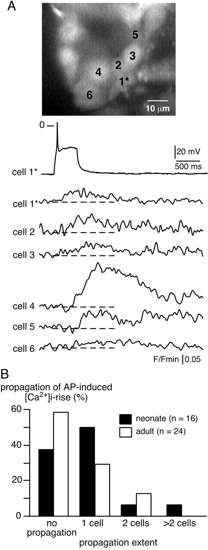 Fig. 7.