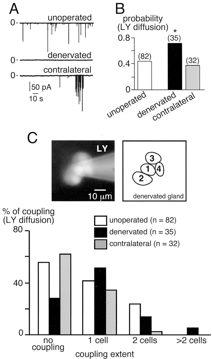 Fig. 8.