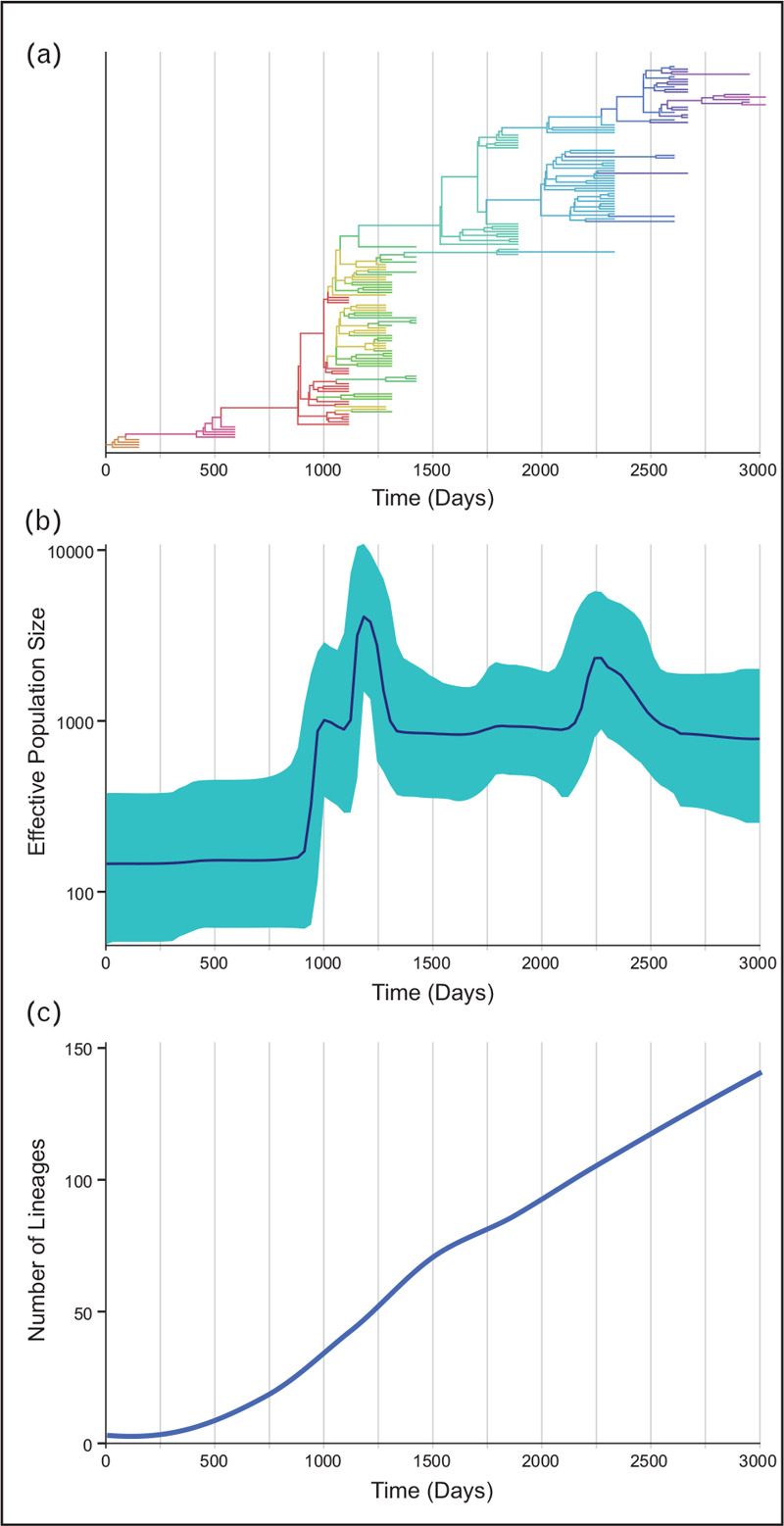 FIGURE 2