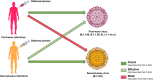 Figure 5