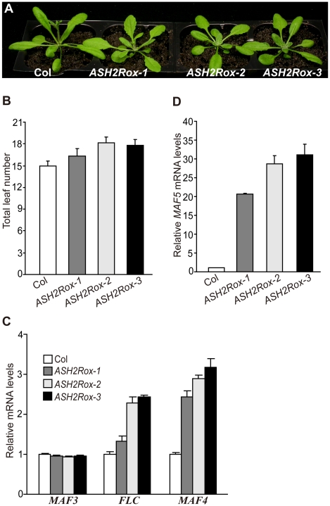 Figure 5