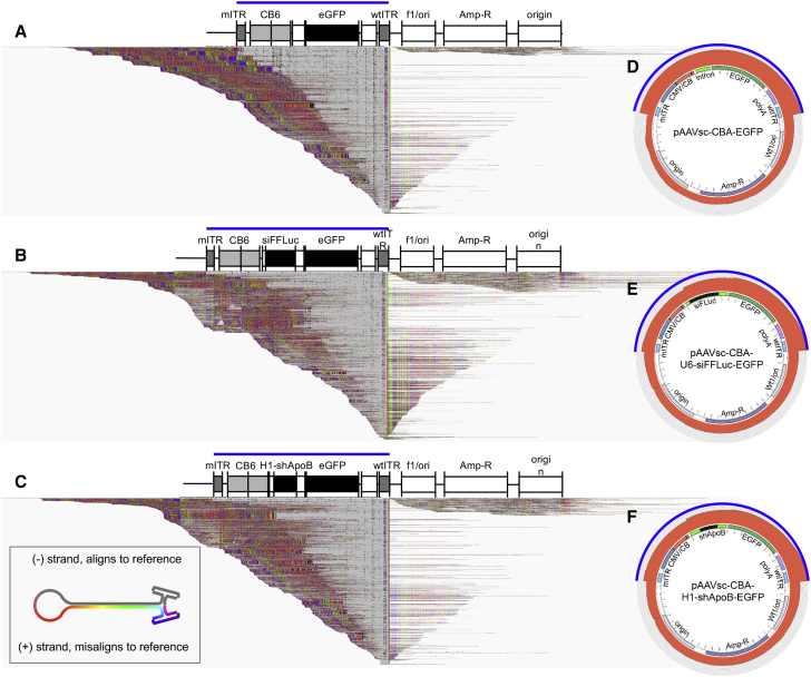 Figure 4