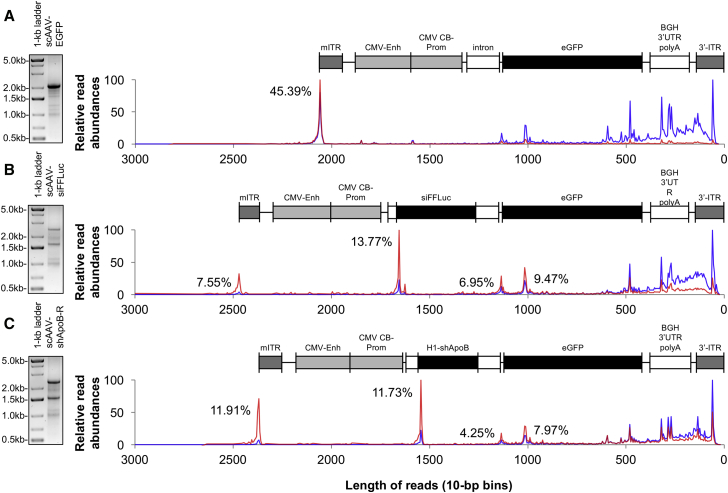 Figure 3