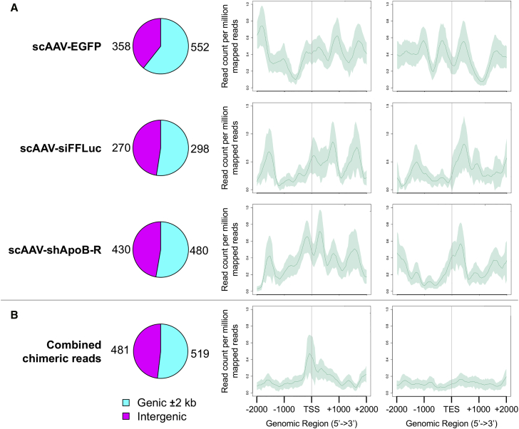 Figure 6