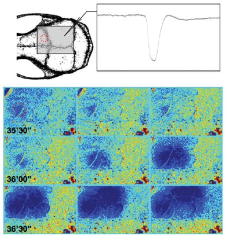 FIGURE 2