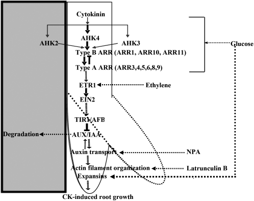 Figure 9.