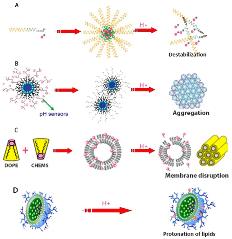 Figure 17