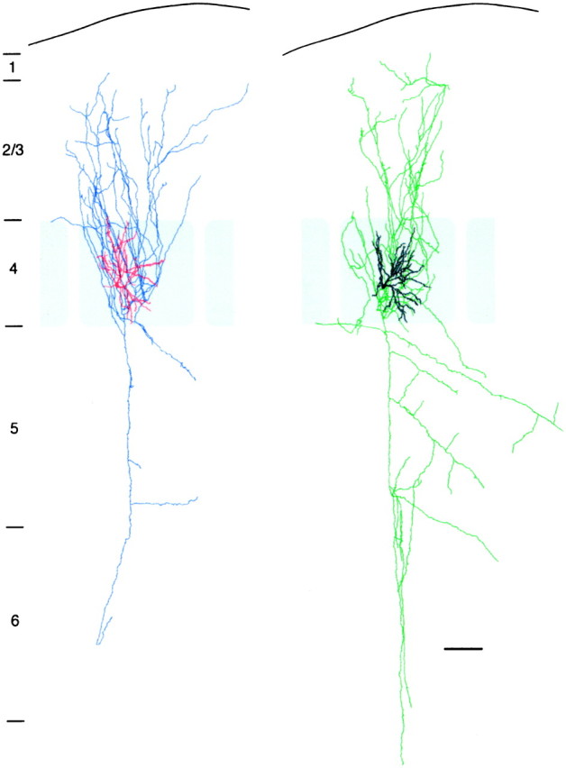 Fig. 4.