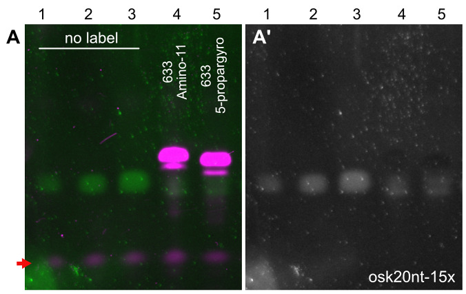 Figure 2.