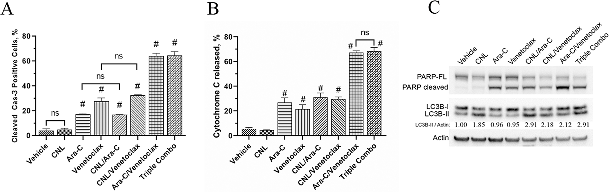 Figure 3: