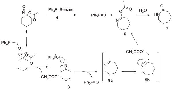 Scheme 4