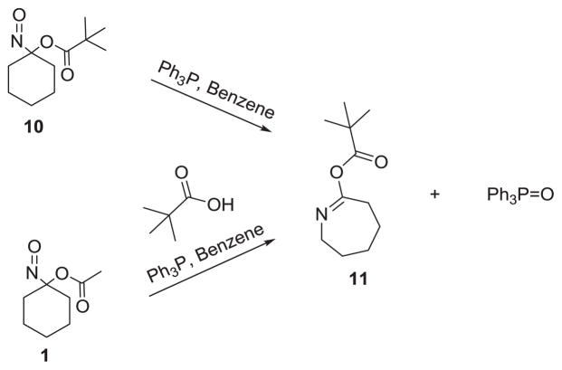 Scheme 5