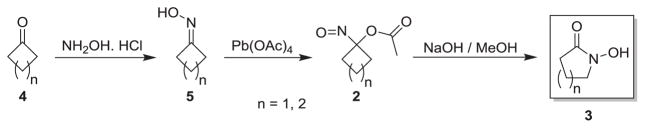 Scheme 2