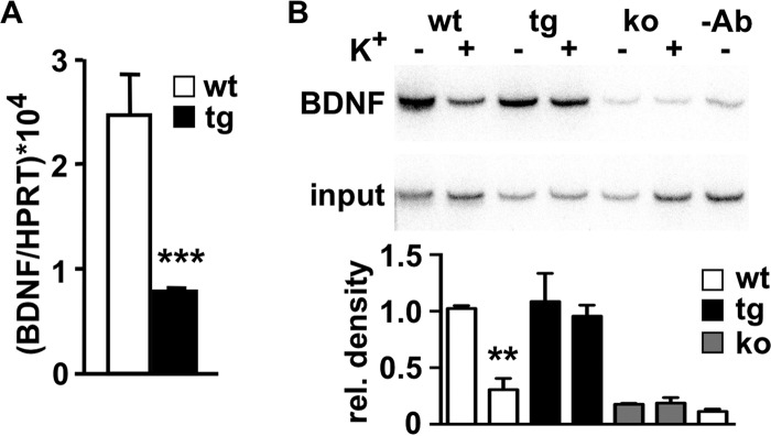 FIG 6