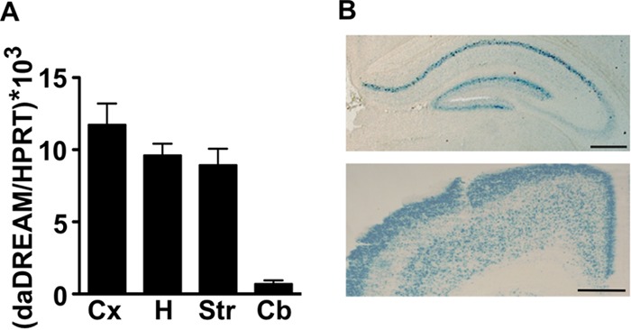 FIG 1