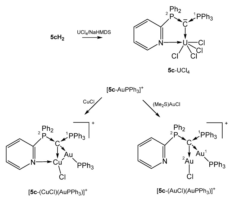 Scheme 13