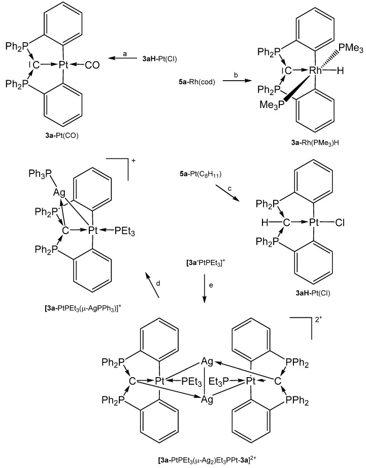 Scheme 8